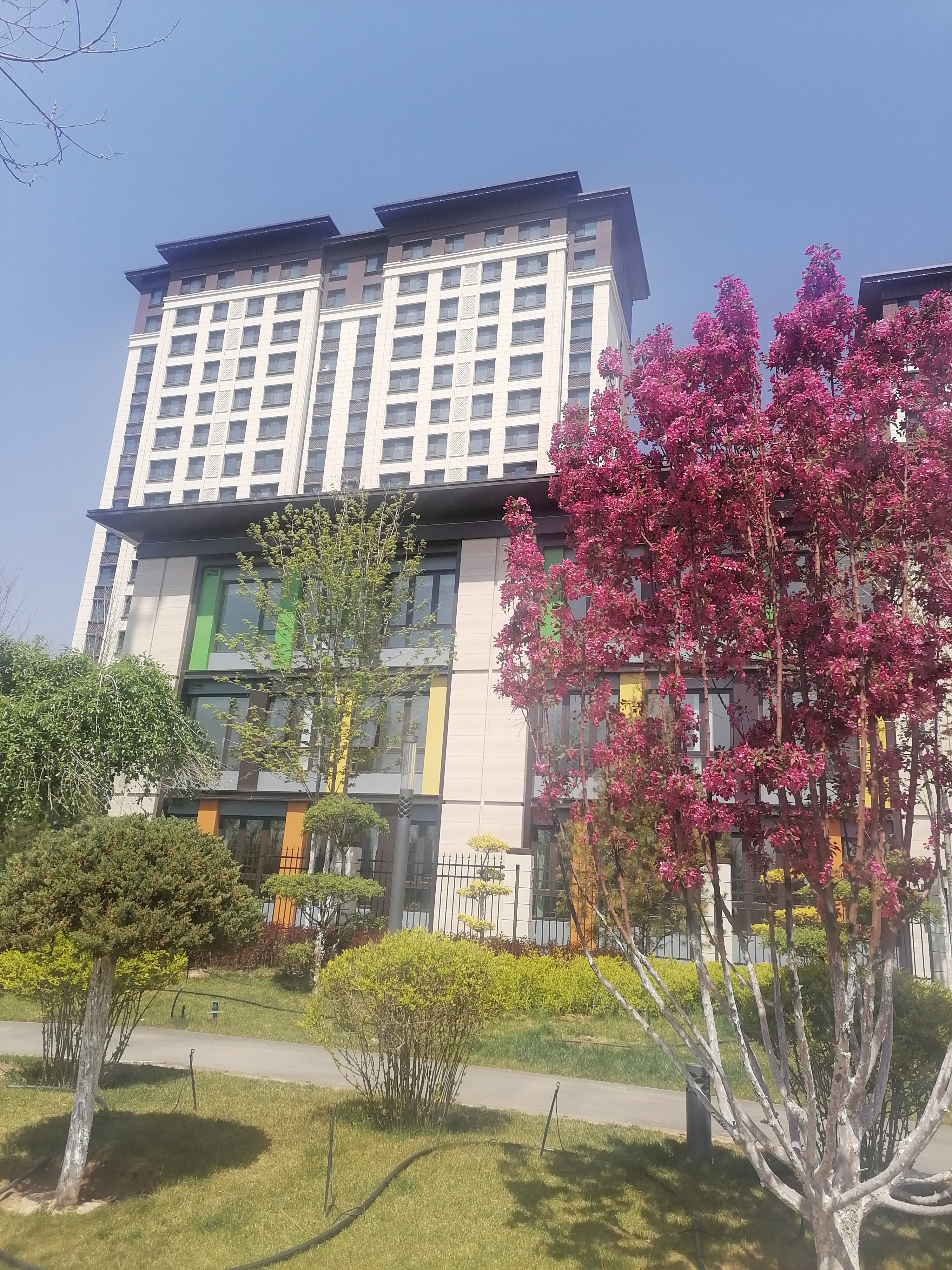 让春色美意揉进鸟语花香的童话世界