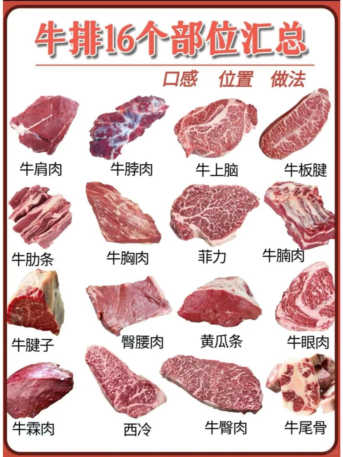牛肉的16个部位汇,你知.@一日三餐美食推荐的动态