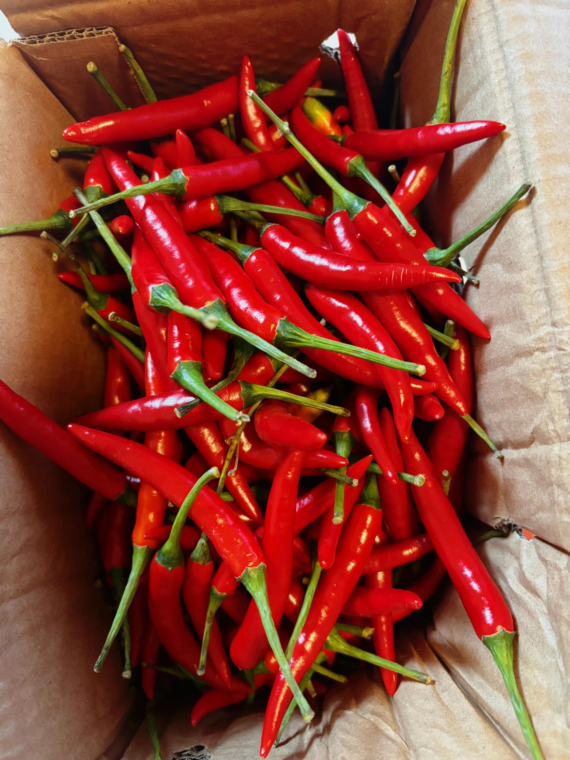 9三斤小米辣!非常的新鲜