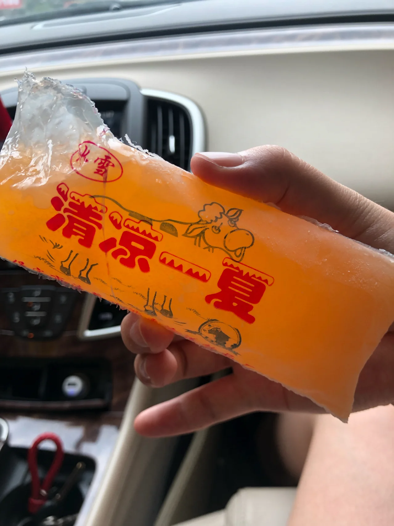 记得当时1毛一个,我们这叫冰袋,你们那呢?#冰袋