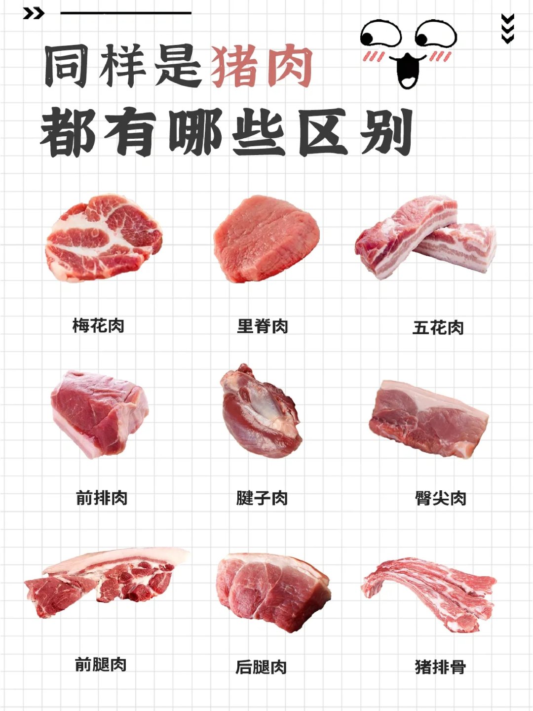 猪肉不同部位的肉有什么区别