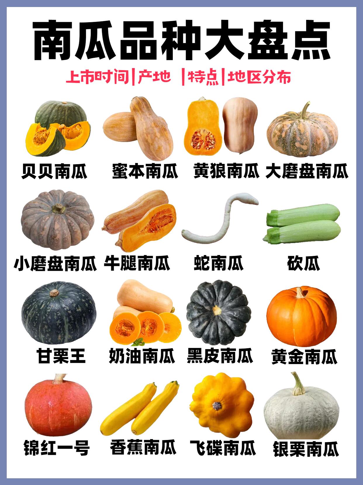 南瓜品种大盘点!粉丝要的南瓜品种盘点来喽!