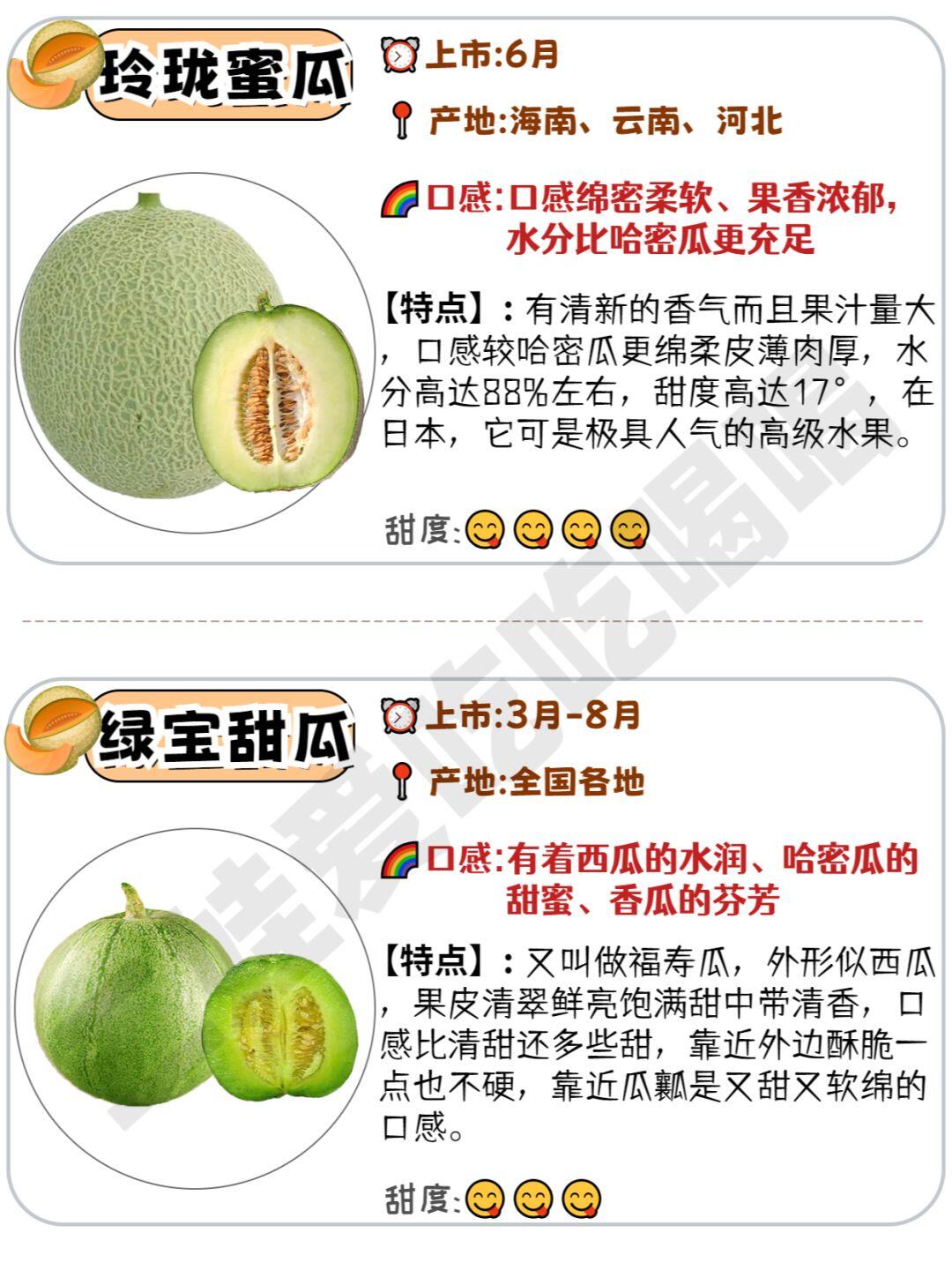16种常见甜瓜品种区别及口感丨一次性讲清楚||?