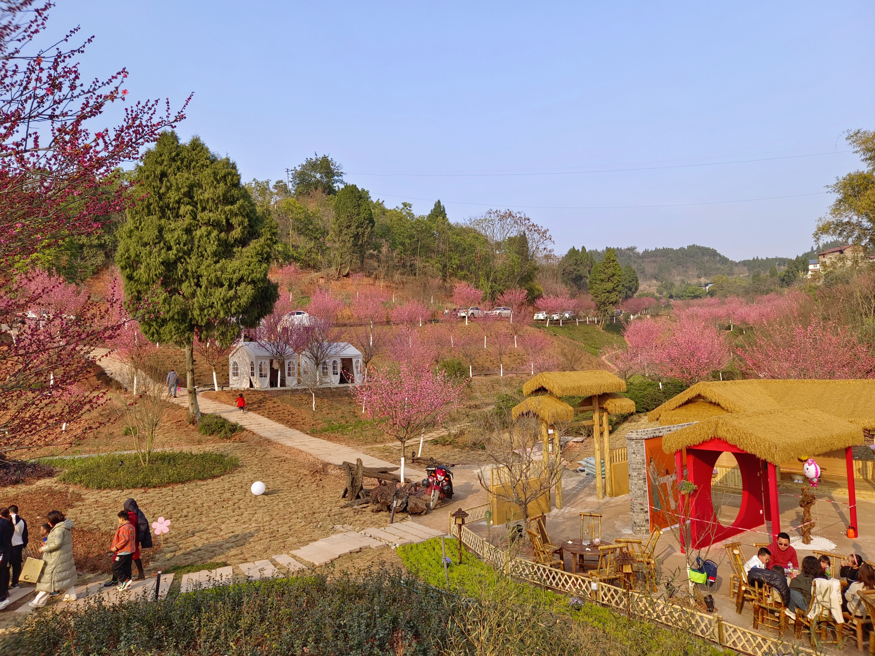 高坪区澜岭江花景区图片