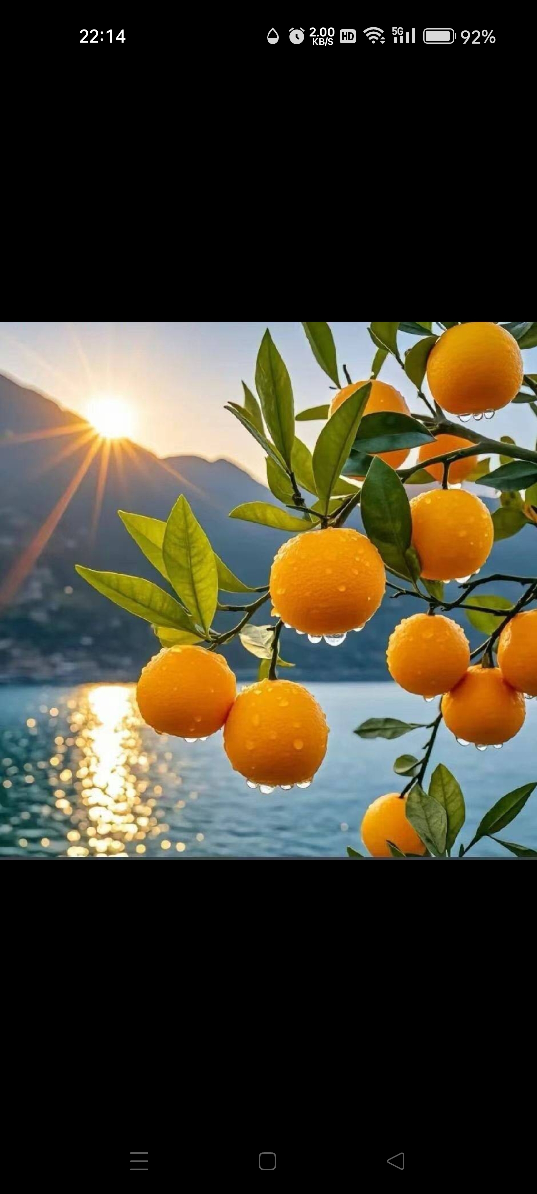 热问计划# 阳光下湖边摘橙子,新鲜又美味!