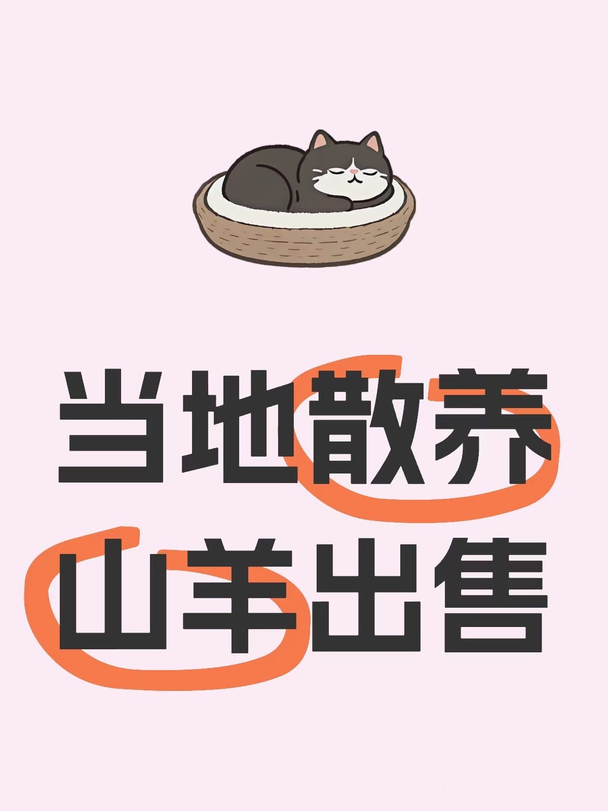 养殖什么不愁卖(养殖什么见效快不愁卖)