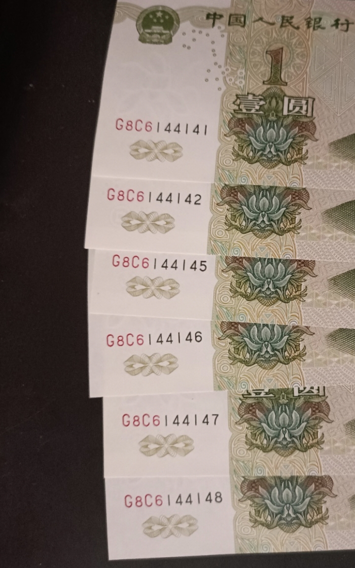 991三冠大叶兰,大叶兰中的灵魂