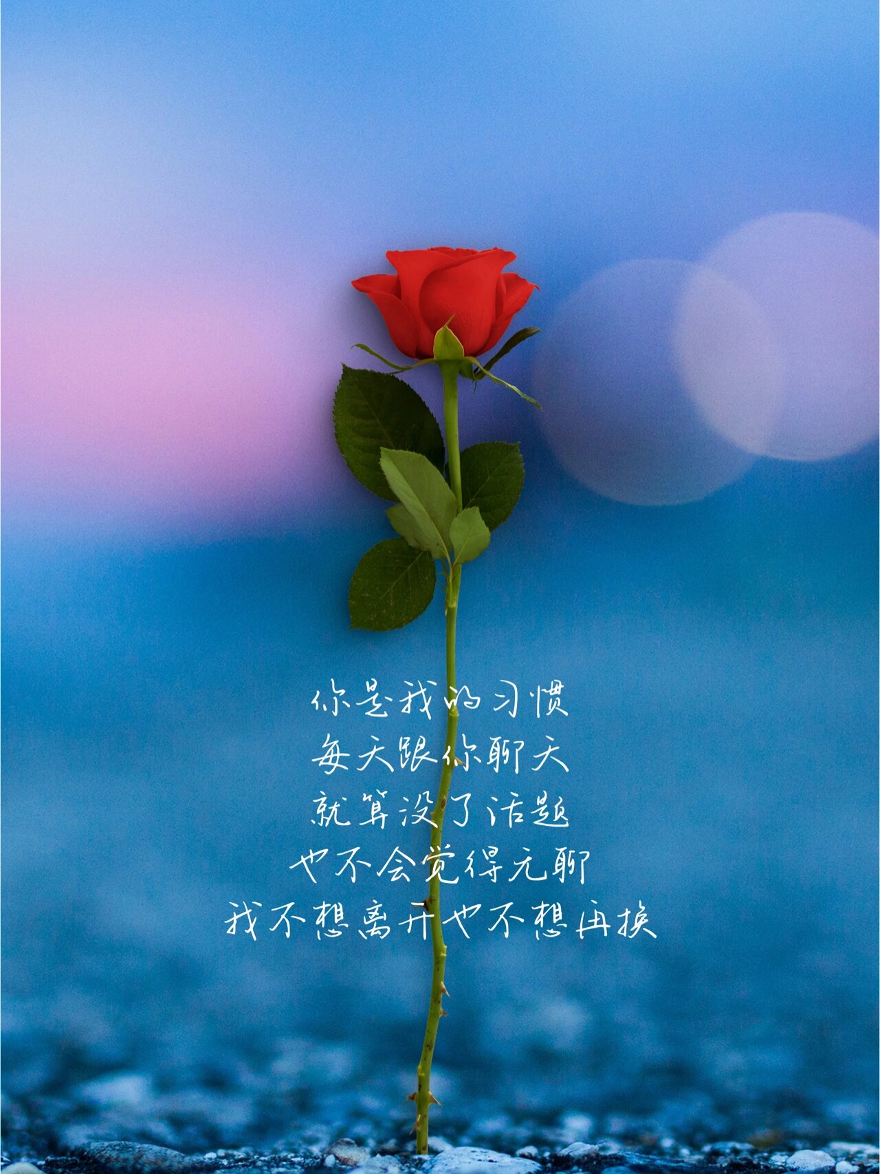你的笑靥,如晨曦中盛开的春花,一抹温柔点亮了我心田的每个角落