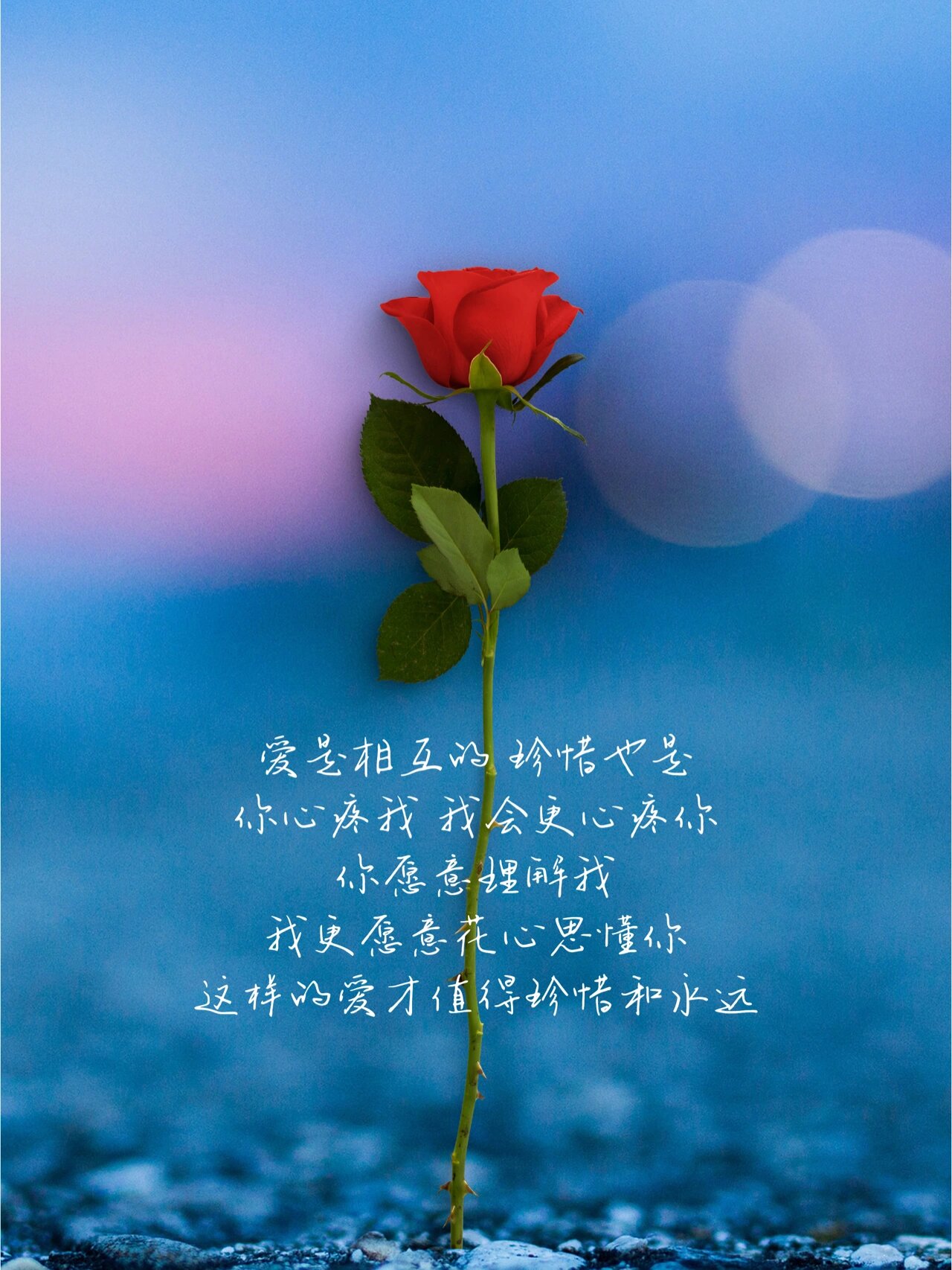 你的笑靥,如晨曦中盛开的春花,一抹温柔点亮了我心田的每个角落