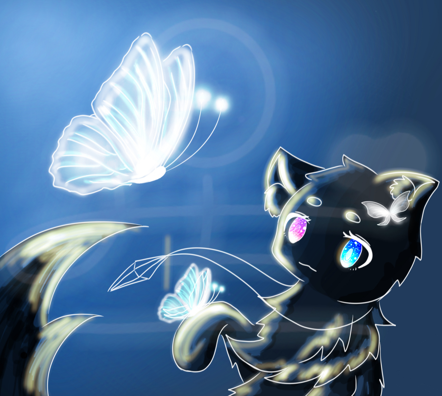 我得发个动态证明一下我还活着 「幽灵蝶」 幽灵蝶是一种美丽又致命的