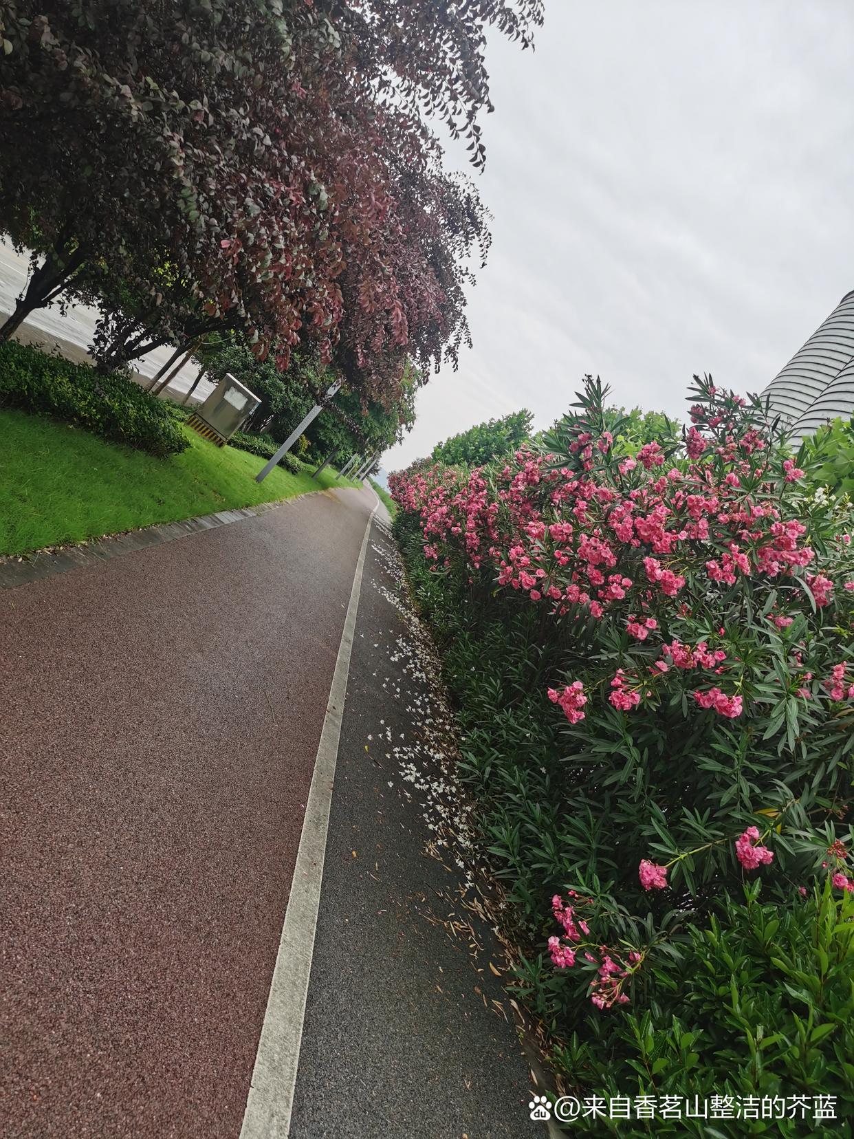 今天,这支穿越时空的竹箭变成了无数个朝气蓬勃的少年,他们一边欣赏