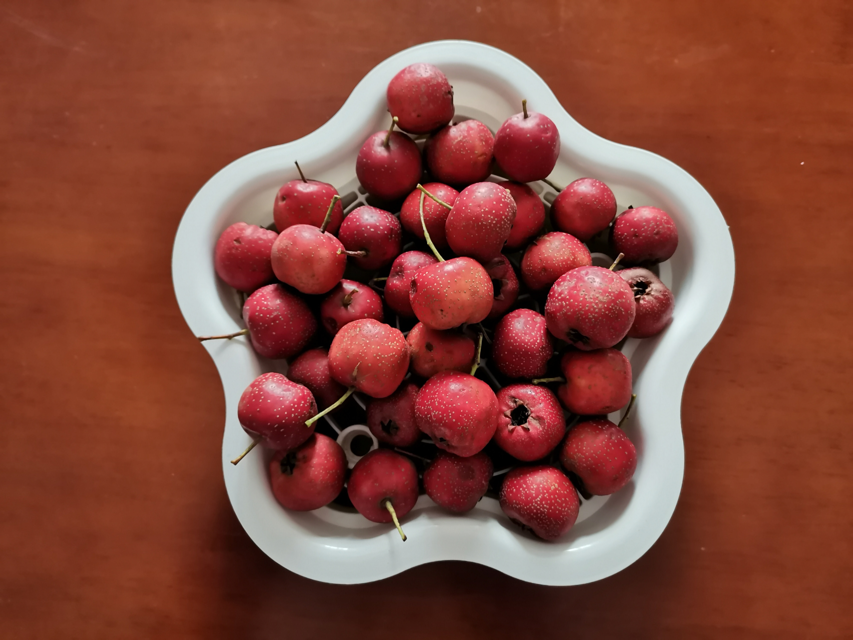 人海拾贝——尝# 中午,热气腾腾的火锅.