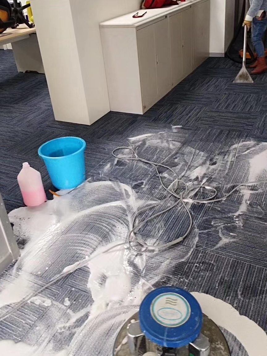 重焕生机 —— 汉寿地毯清洗行业动态