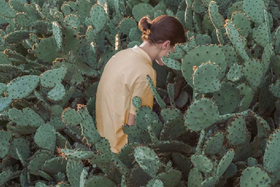 一念行者#  觉察你心中的"怕"字 作者:一念行者  "怕"字是一个催霉眄