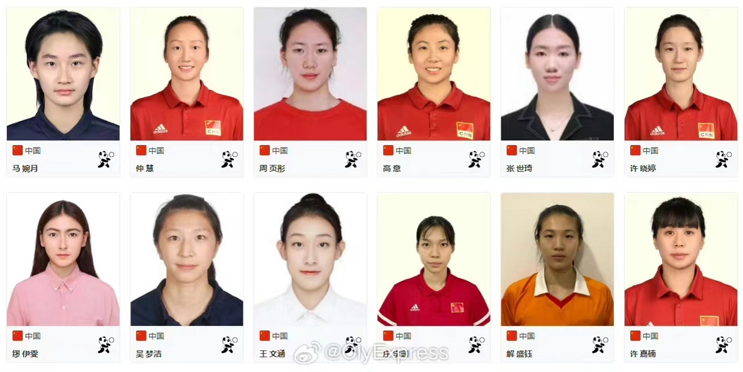 中国女排队员资料简介图片