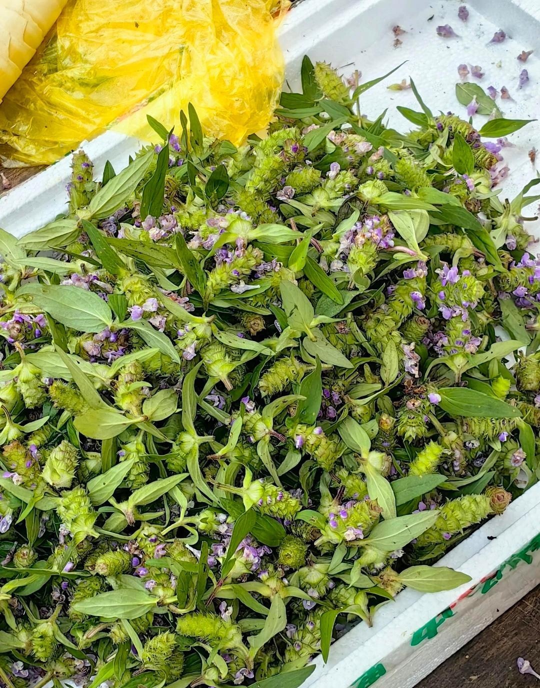 今天带孩子去赶集,看到集市上还有卖这个里,这是我