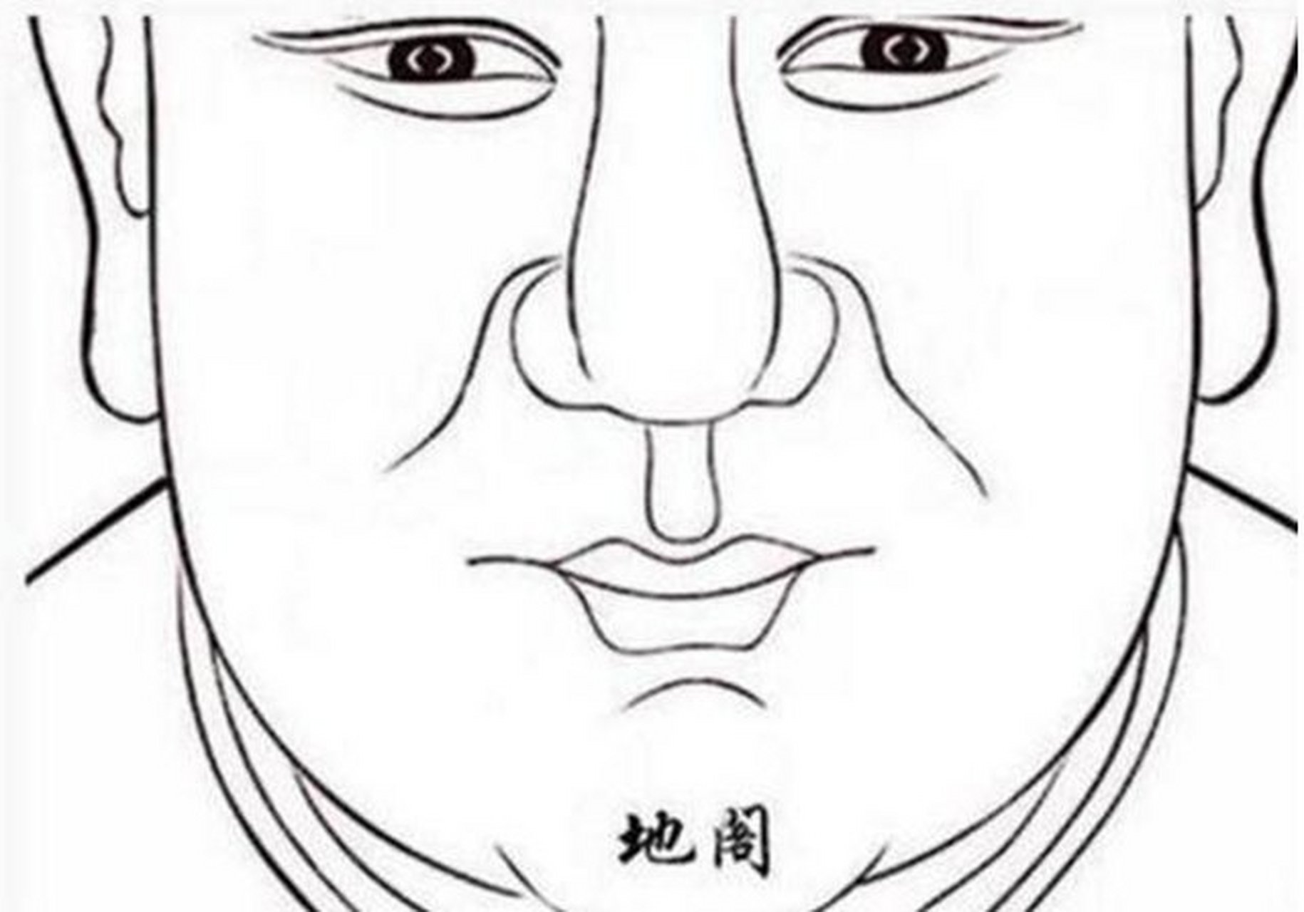 地库饱满  下巴又称为地库,下巴圆厚给人一种福相的感觉,地阁方圆,朝