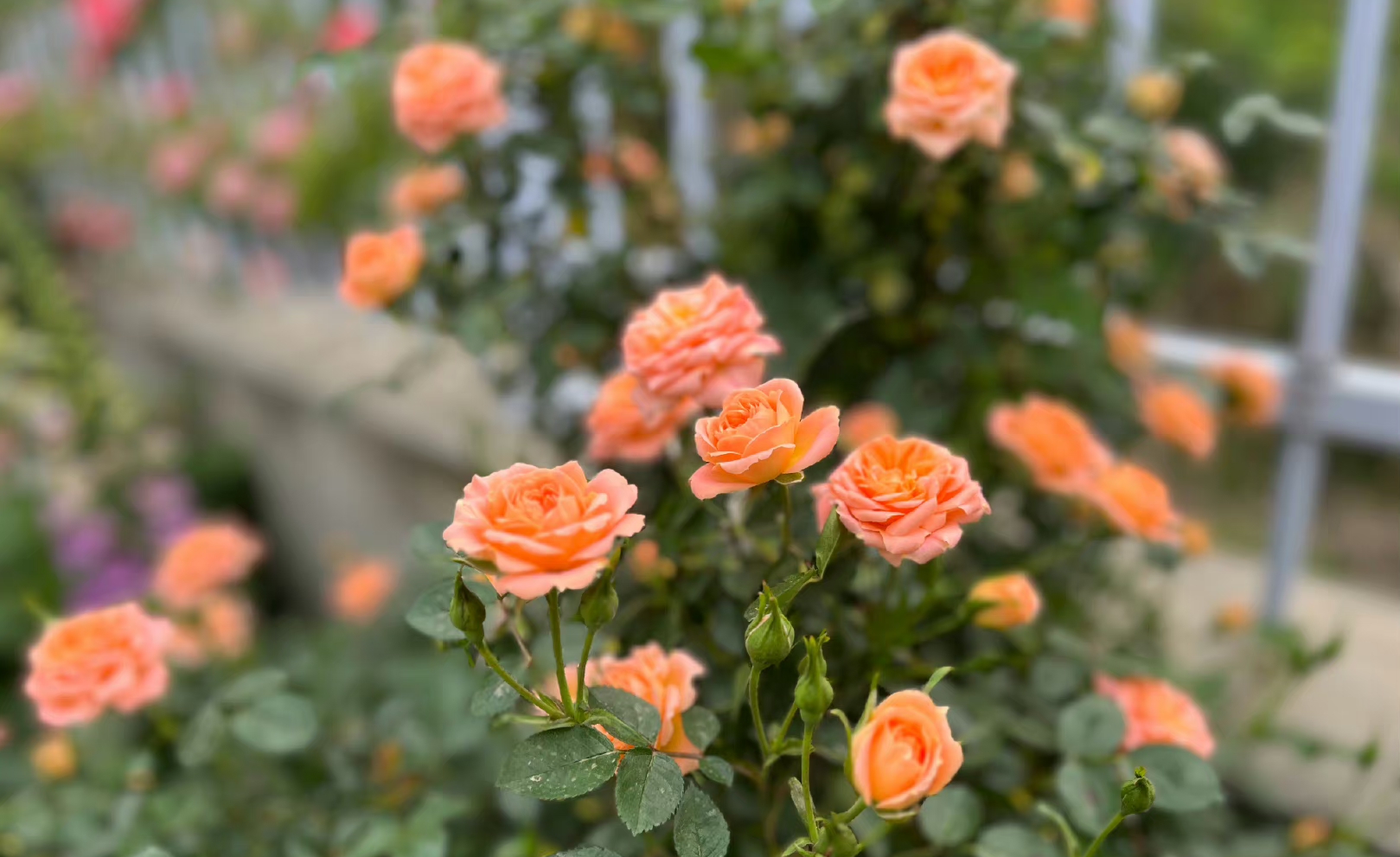 人性到底有多黑暗?