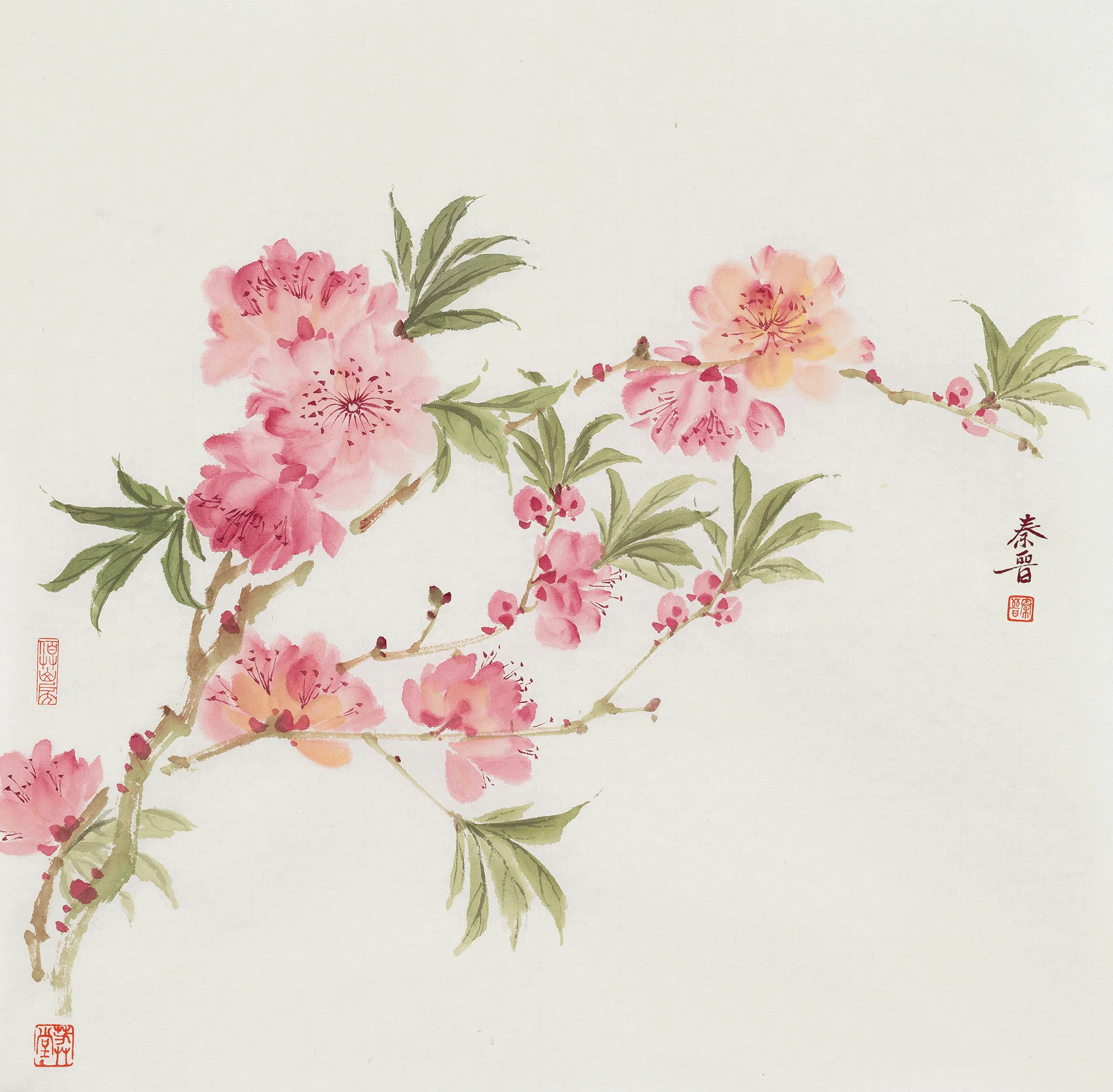 宋秦晋·桃花小品