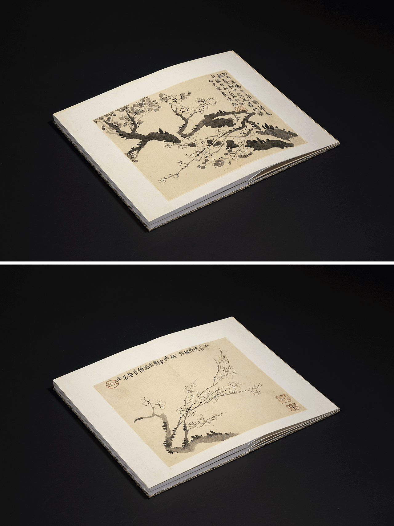此两种金农《梅花册》,一为浙江省博物