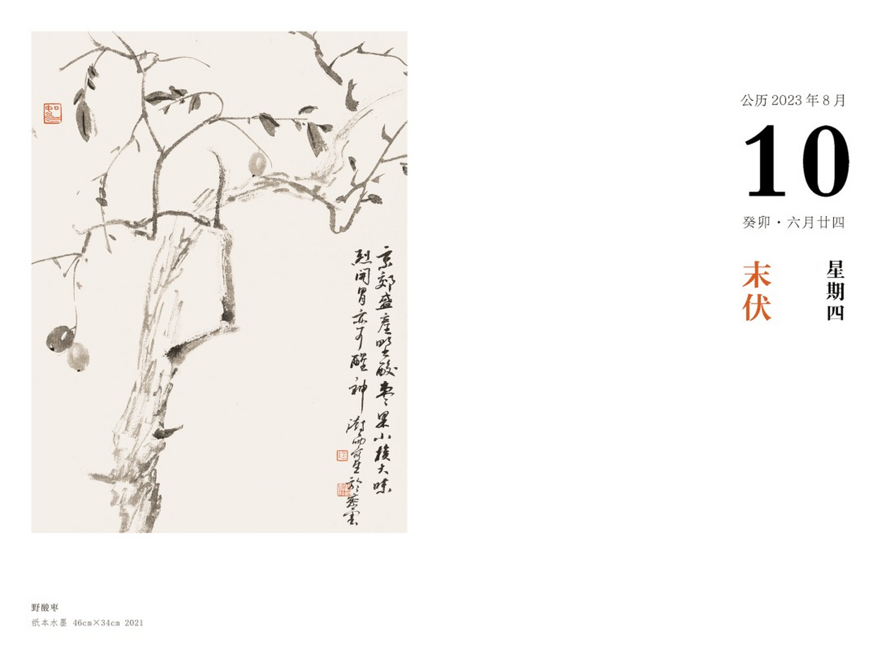 澍雨日历丨8月10日 · 野酸枣  默写默记是中国画的最大特点,有了默写