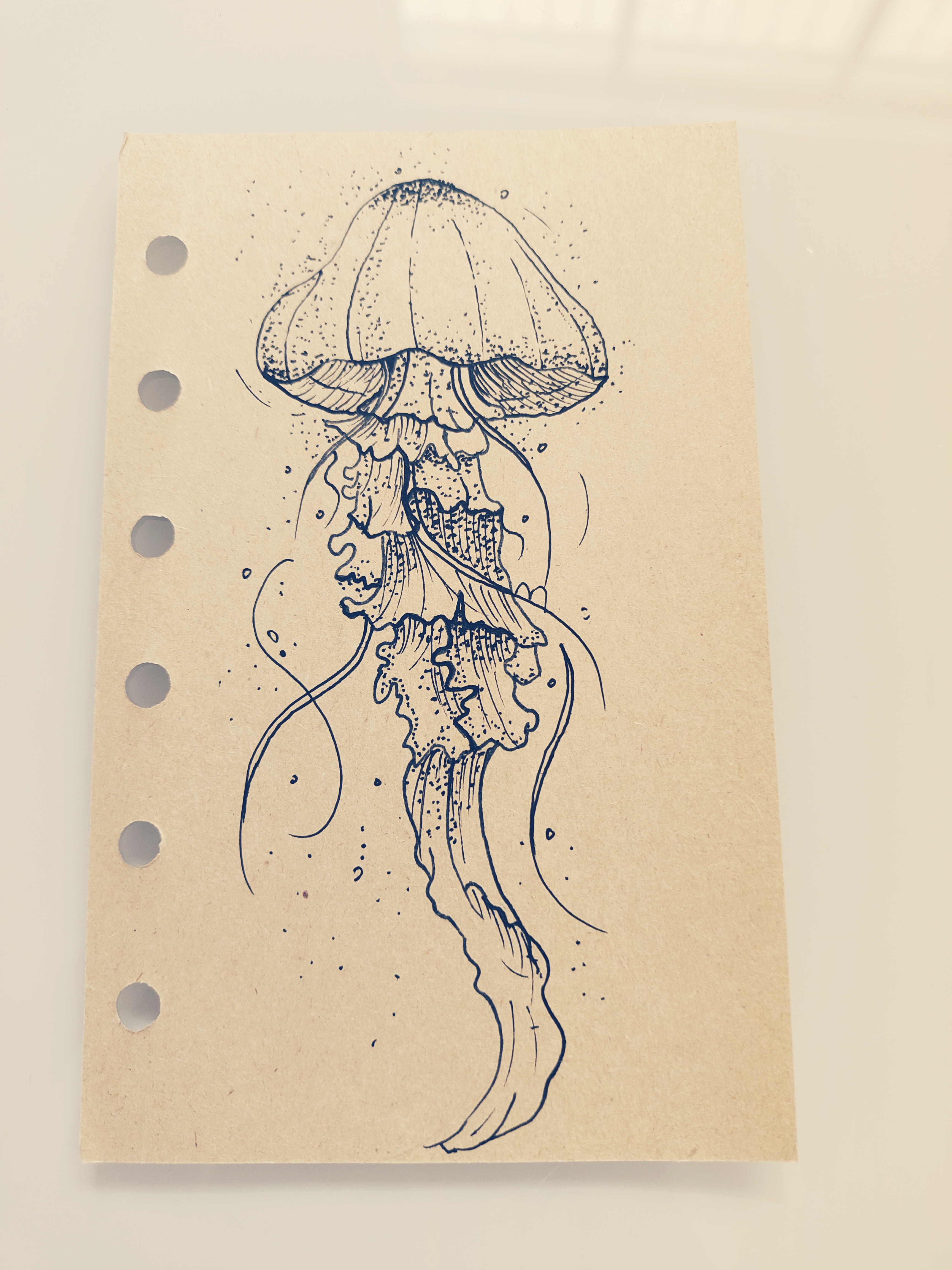 水母,仿佛是海中的精灵,用它们独特的美丽,照亮了我内心的天空