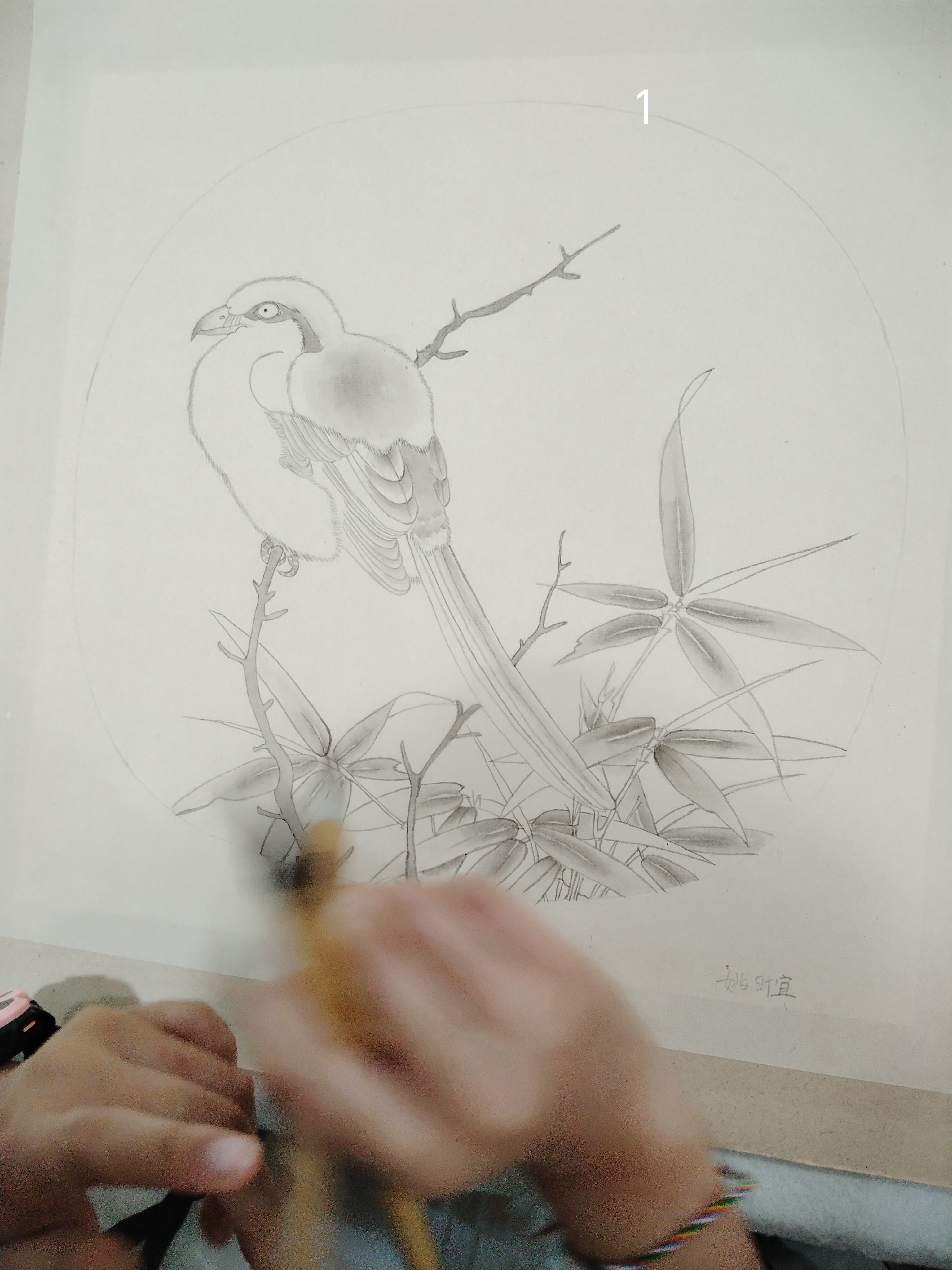 姚昕宜临条工笔画《竹鸠图》过程,以记之!