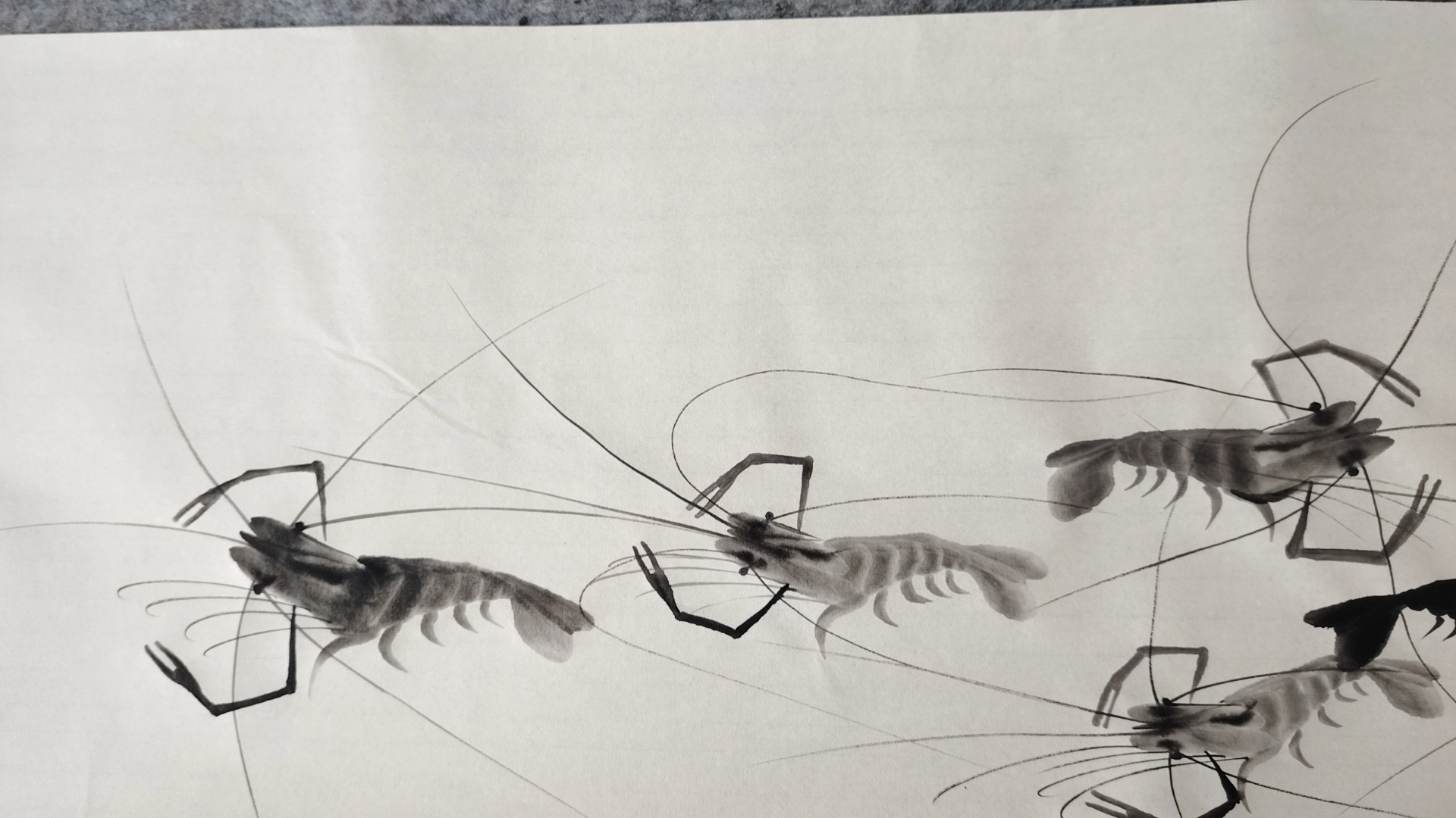 和谐相处,祥龙献瑞.罗加州笔下的国画河虾