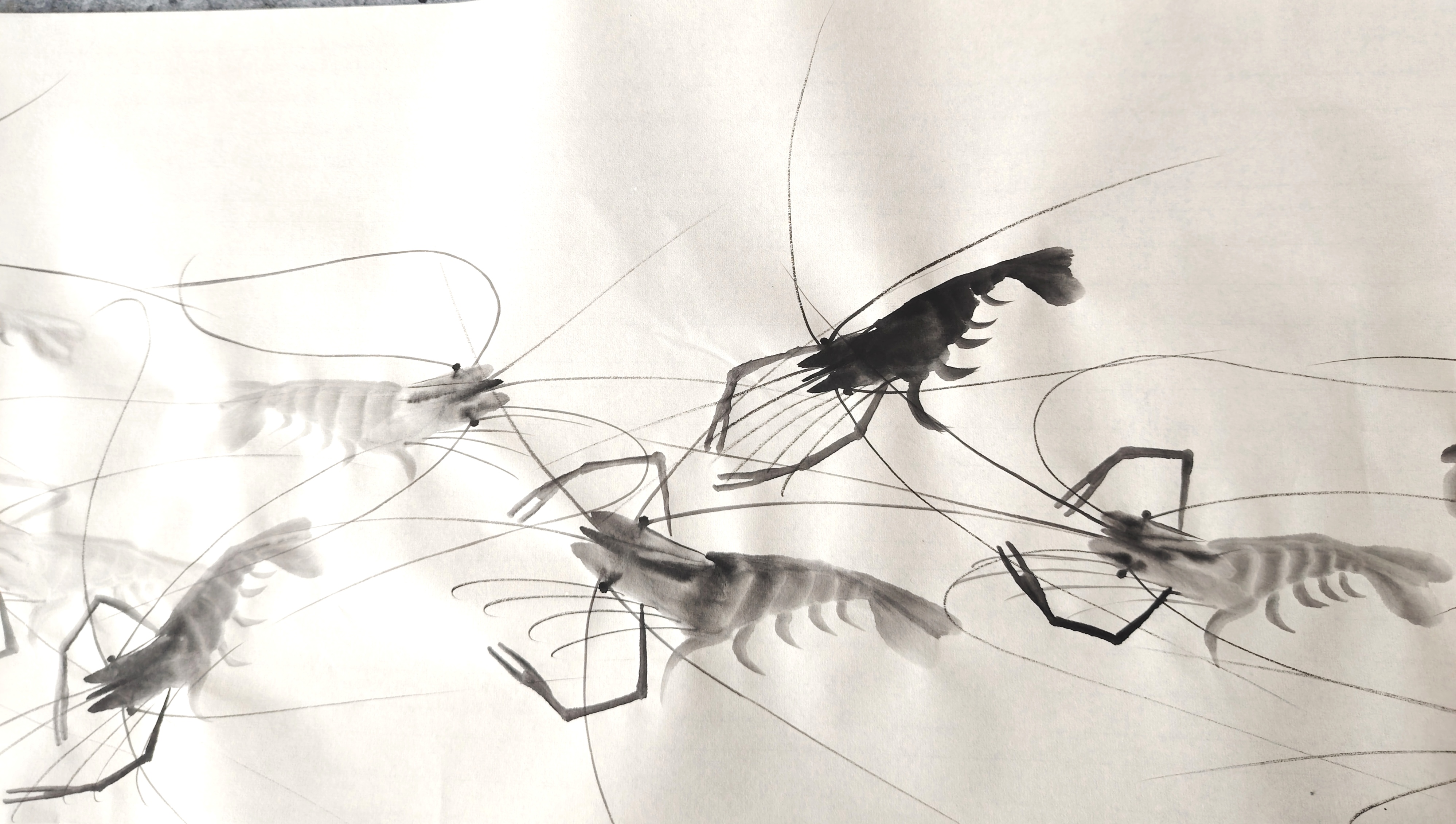 和谐相处,祥龙献瑞.罗加州笔下的国画河虾