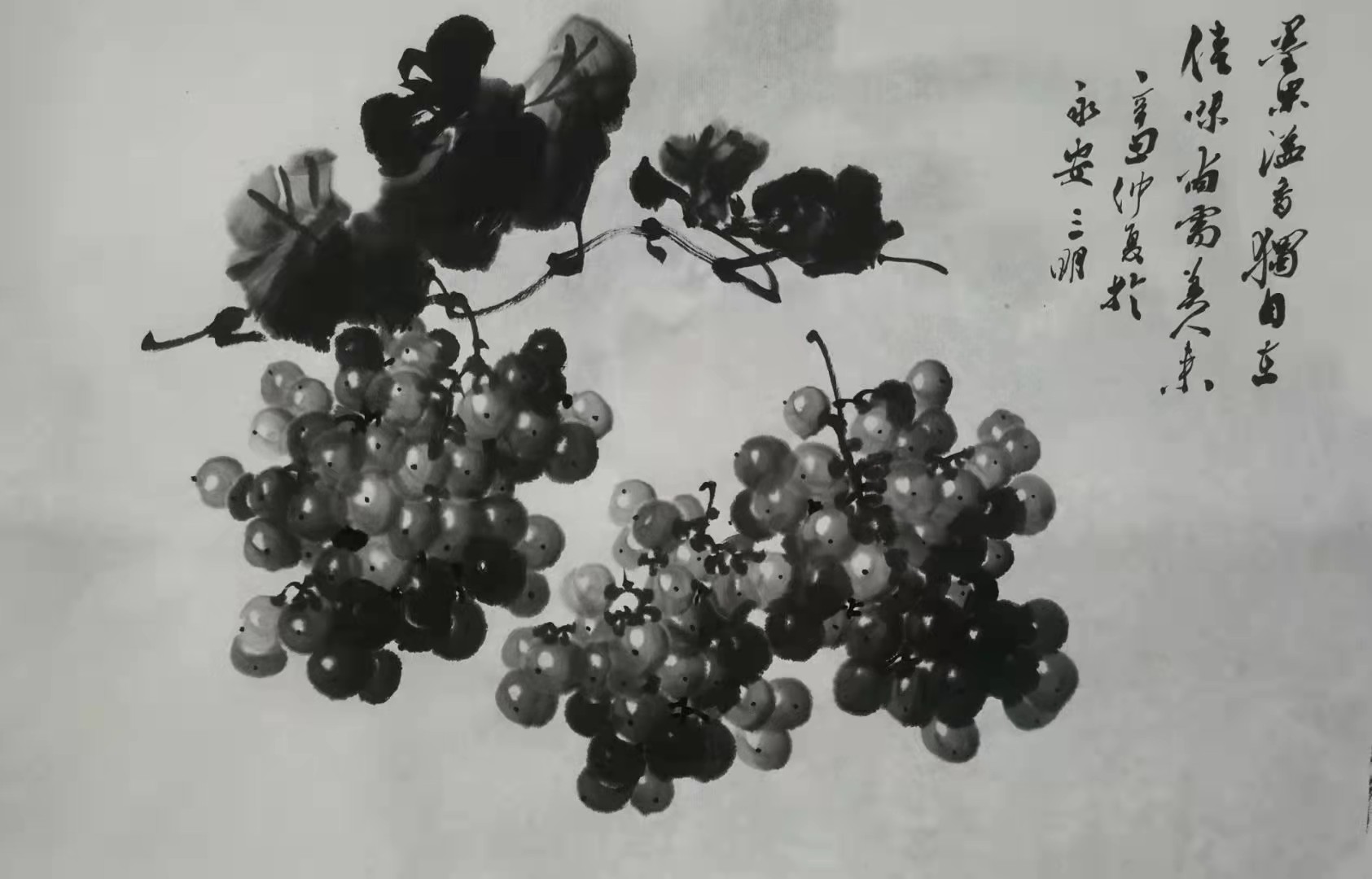 中国著名画家吴明清的葡萄精品作品珍藏版的    吴明清先生艺术简历