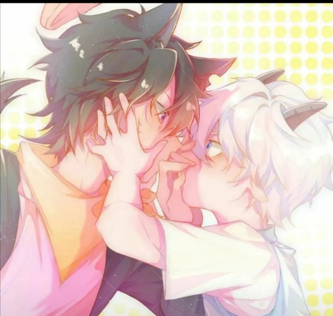 喜灰cp9999999999对不起了喜美!