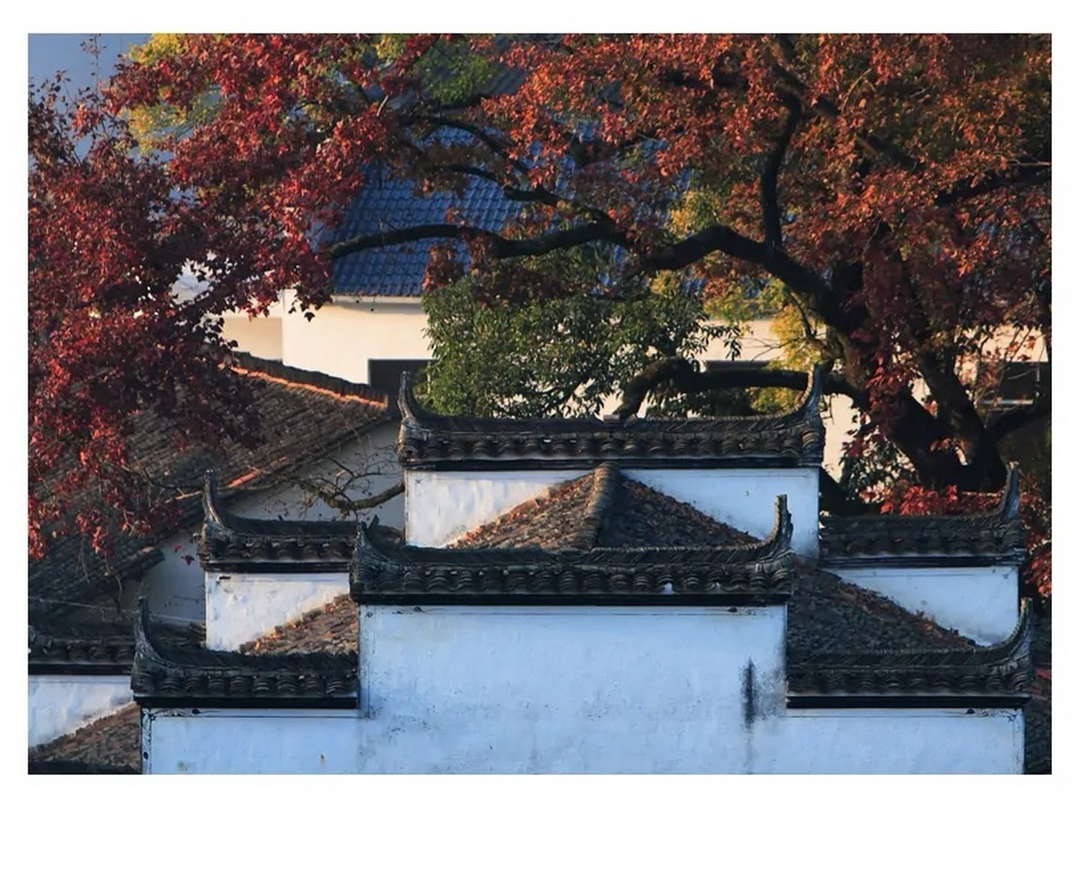 徽派建筑中的"美人靠"…………                "美人靠"是徽州民宅楼