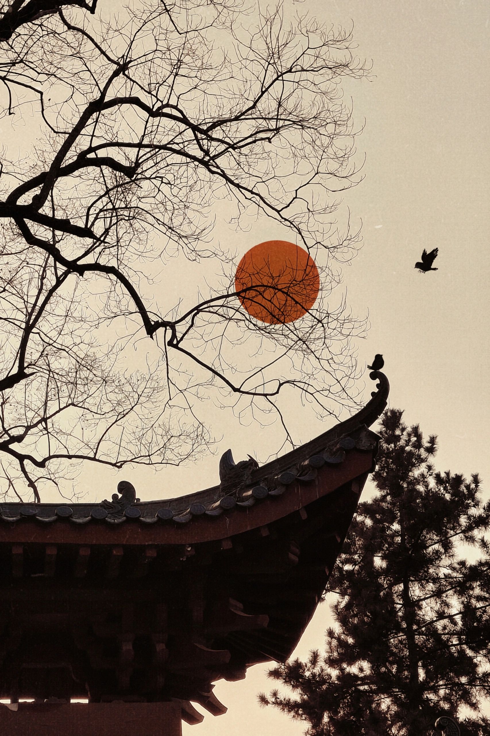 想象一下,在一个安静的夜晚,你静坐在窗边,心境宁静祥和.