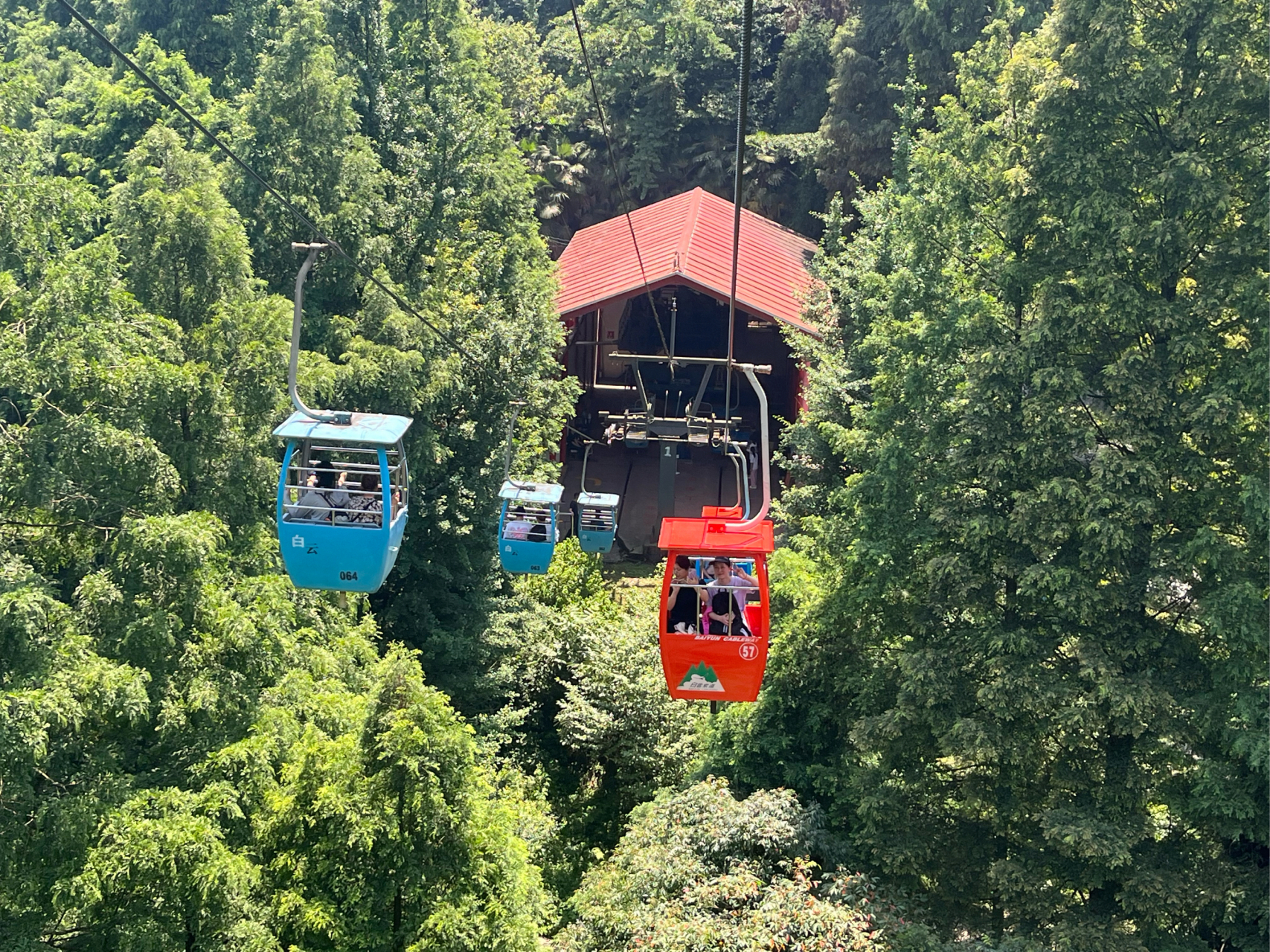 重逢巴蜀#青城山索道,很划算