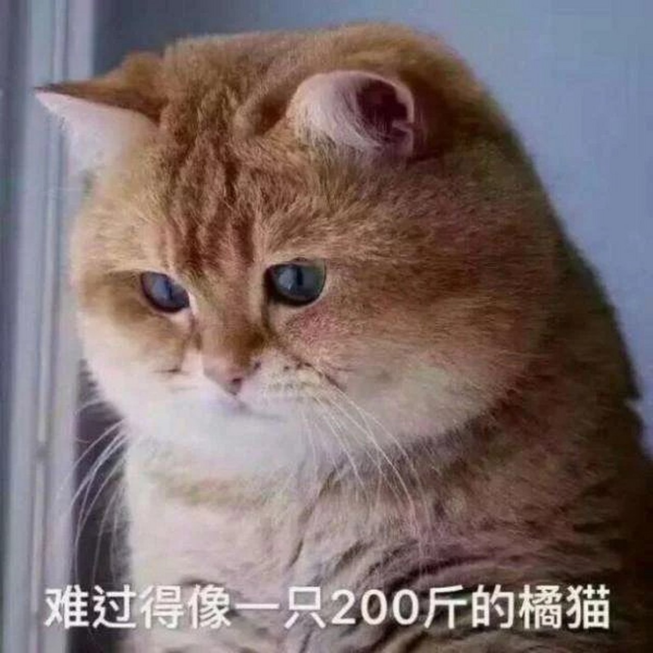 没想到吧没想到吧,我还没睡!