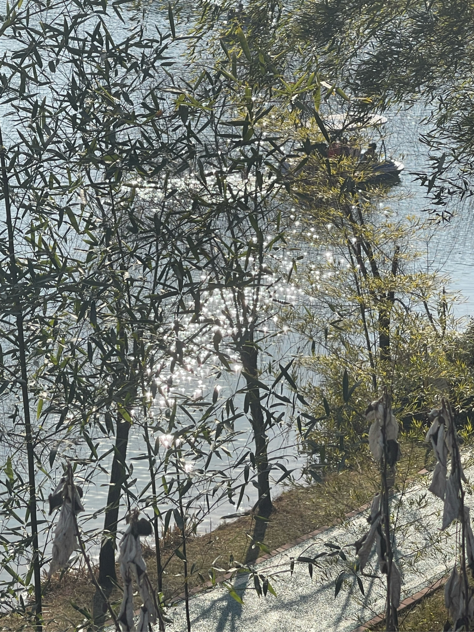 上栗小西湖