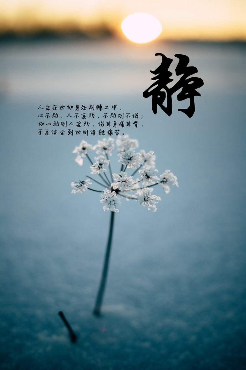 断舍离是一生要修的功课