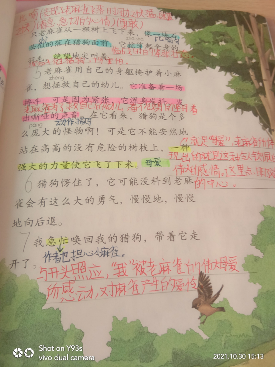 四年级上册16课麻雀课堂笔记