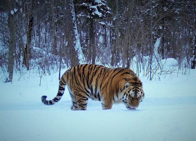 电竞最新资讯-快科技--科技改变未来雨燕直播- NBA直播- 足球直播- 世界杯直播 LIVE