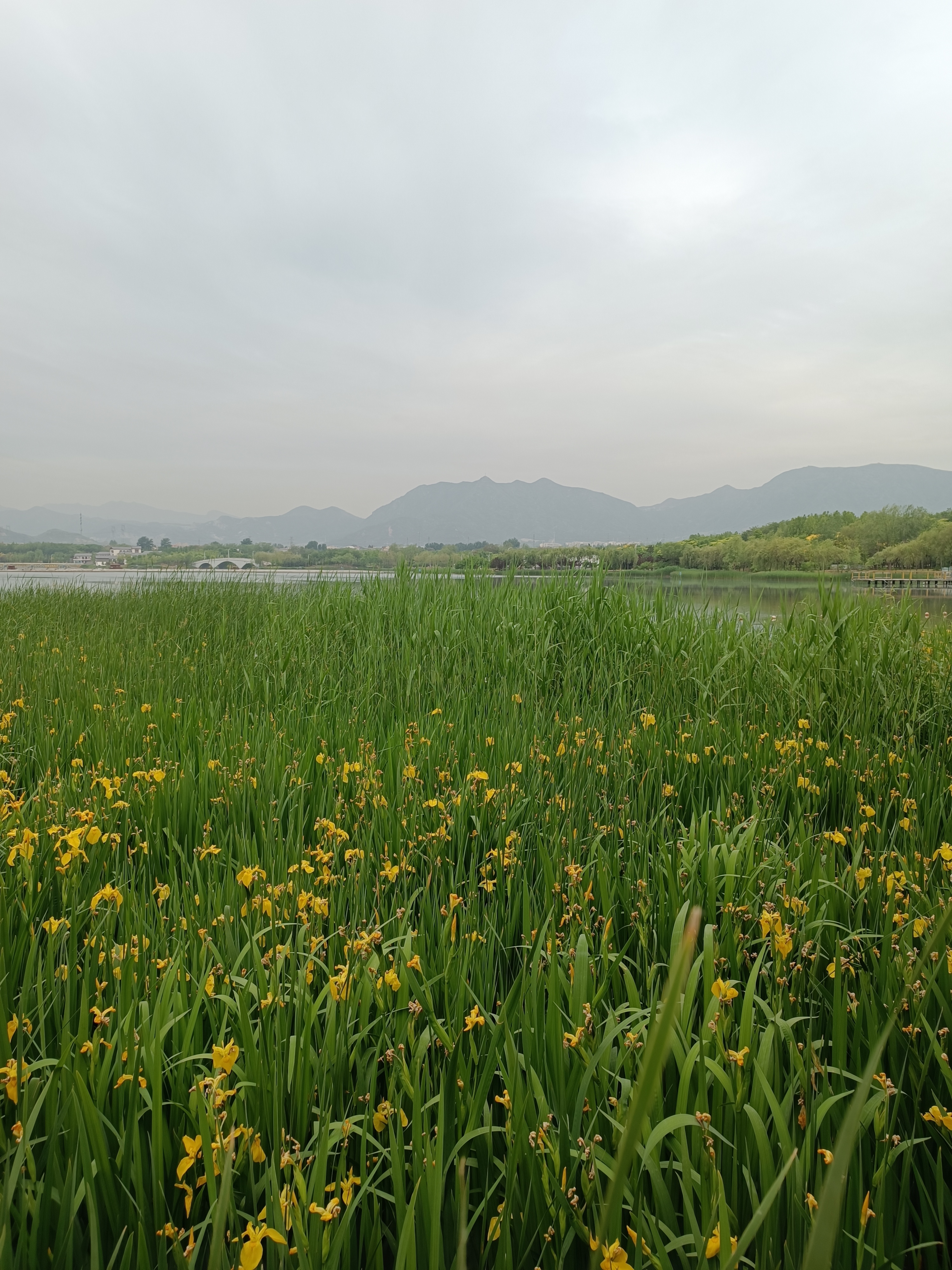 石家庄龙泉湖景区图片图片