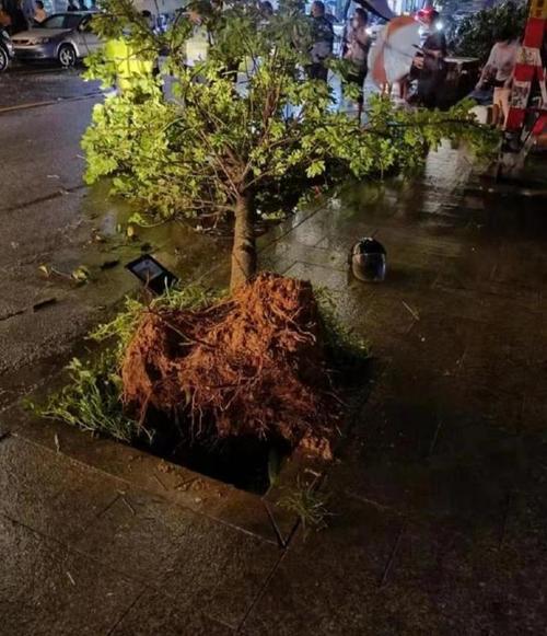 广东龙卷风一路火花带闪电 28日,有网友称广州南沙榄核镇出现龙卷风