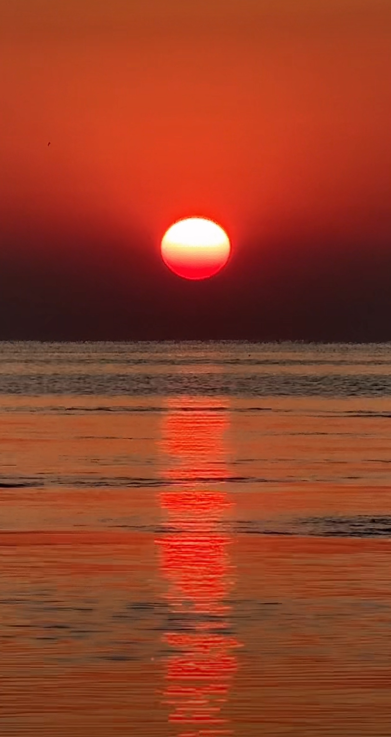 《夕阳映海·红霞飞舞》