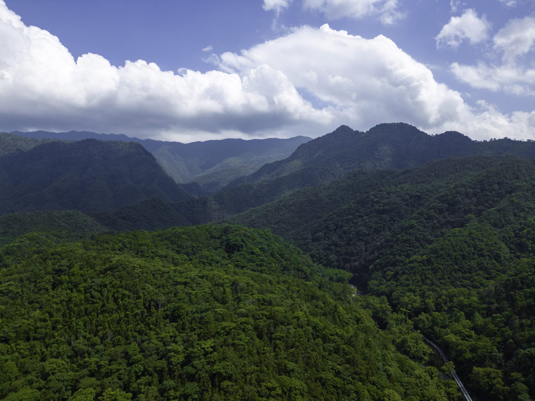 探寻宜春三爪仑国家森林公园,来一场愉悦自我的旅程.