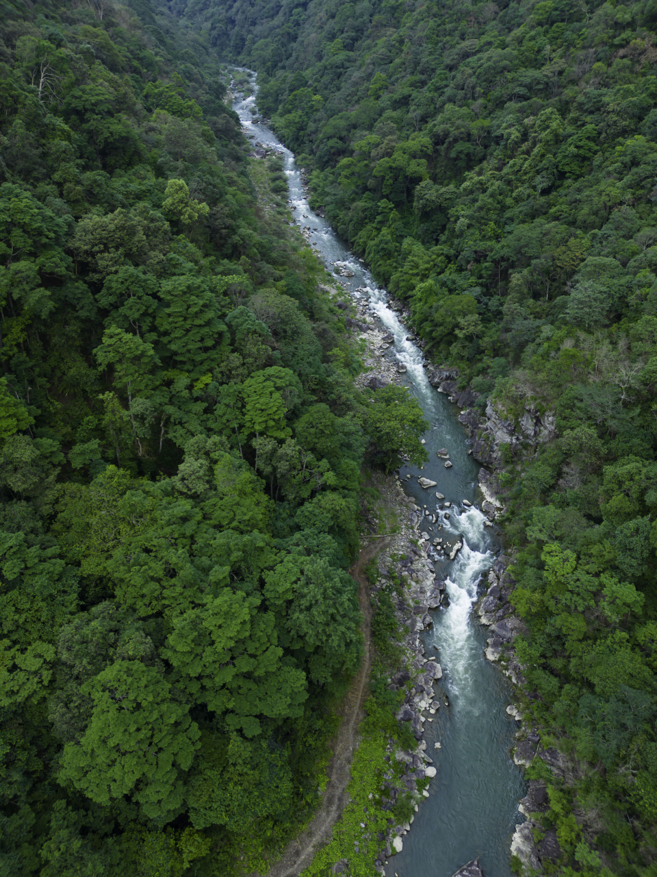 探寻宜春三爪仑国家森林公园,来一场愉悦自我的旅程.