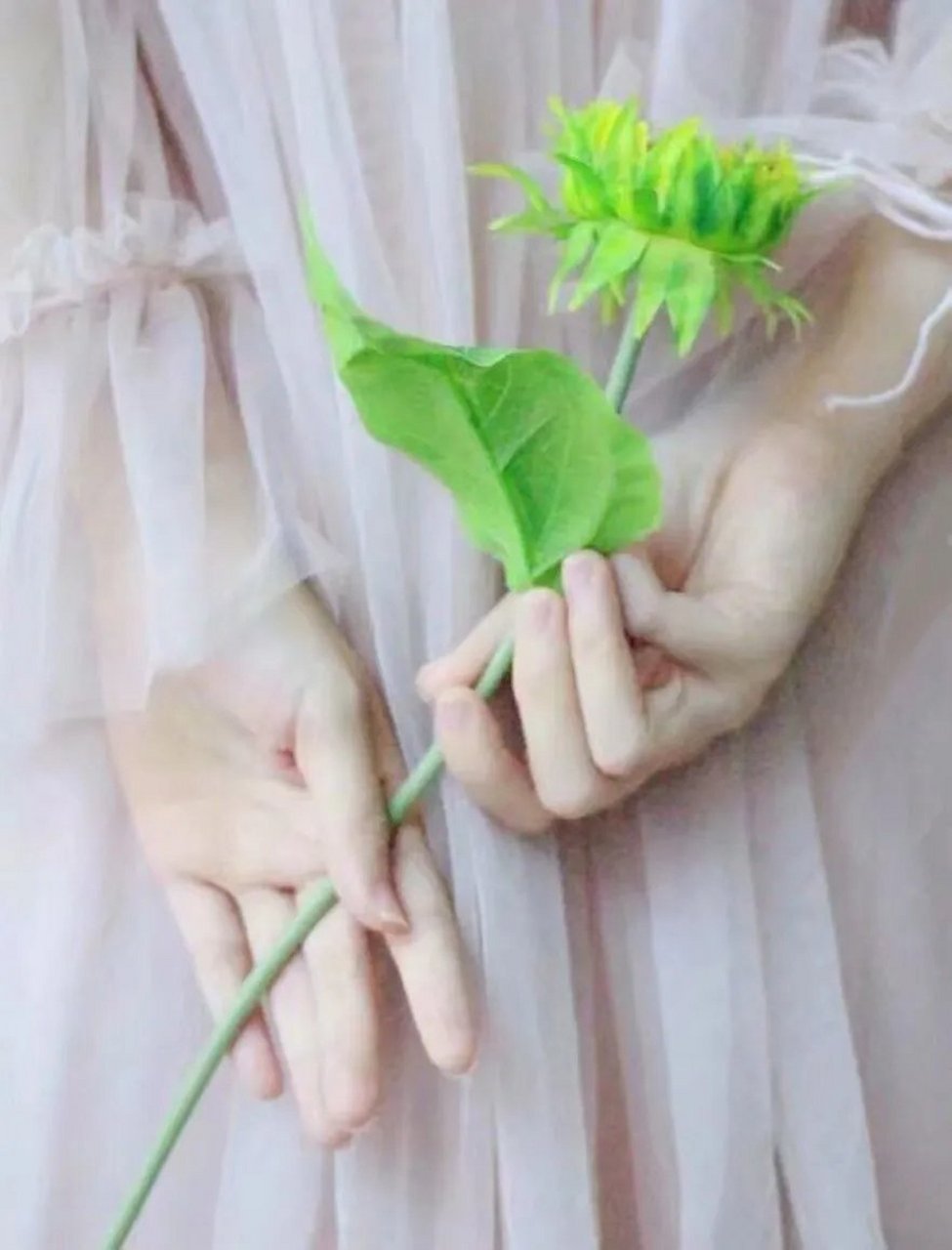 念空大叔# 读尽人间多少事,悲欢离合成家常.