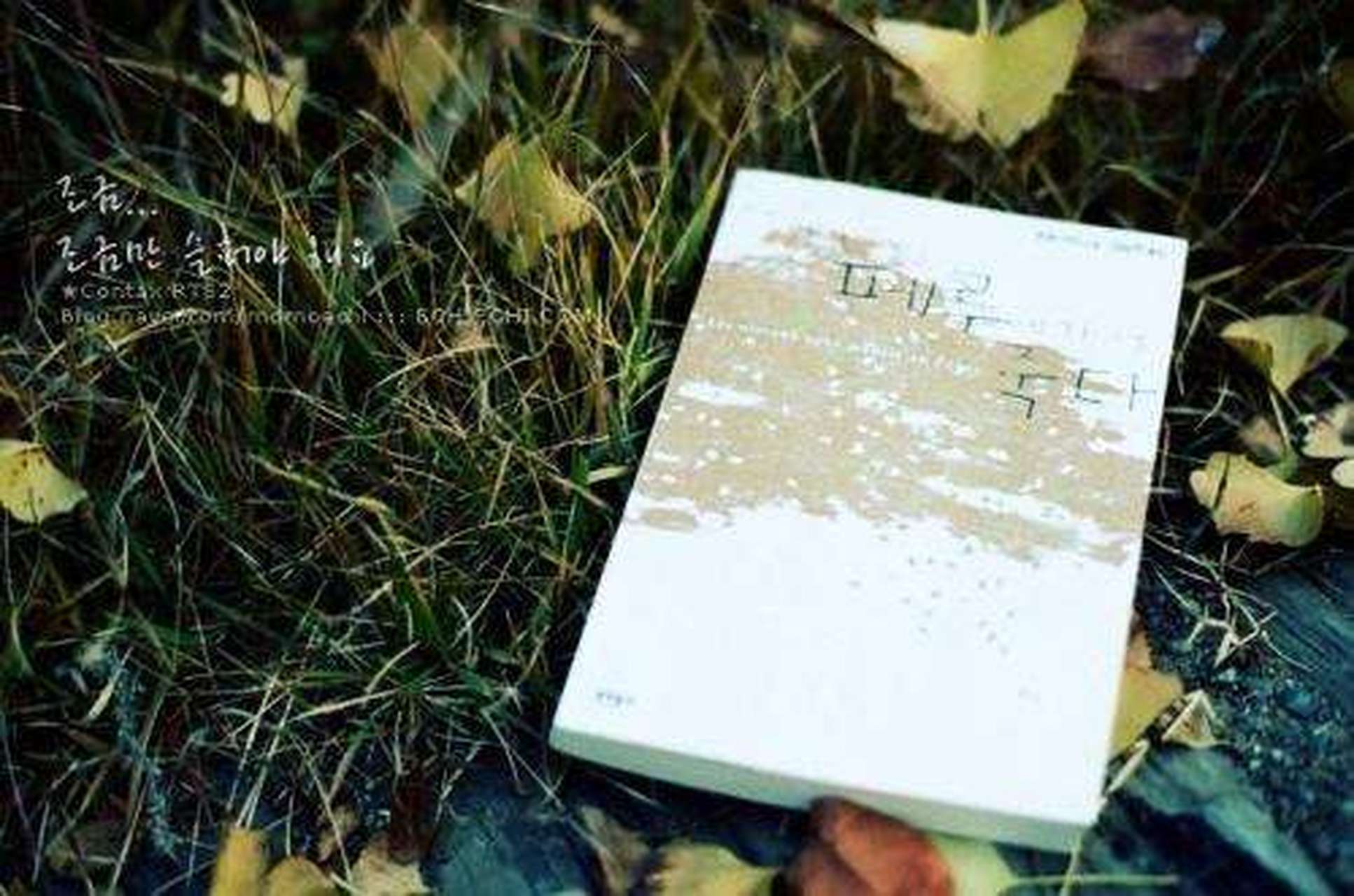 念空大叔# 读书多了,容颜自然改变,许多时候,自己可能以为许多看过的