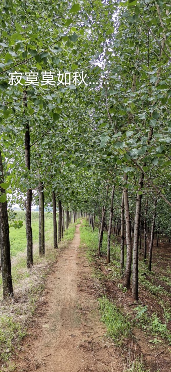 念空大叔# 生活,磕磕碰碰,总有些遗憾,留给岁月;人生,起起落落,总有