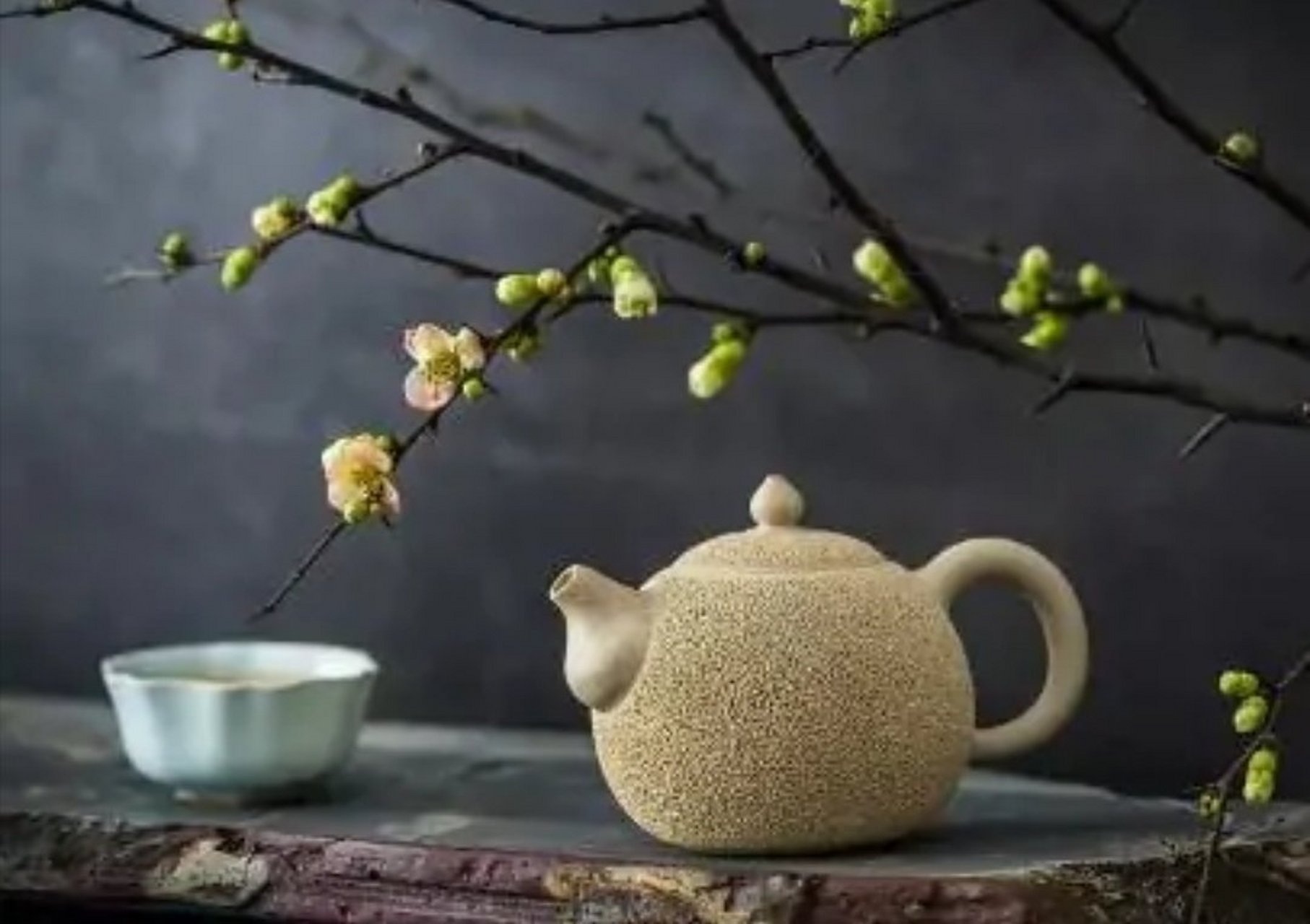 念空大叔# 人生最大的痛苦就是心灵没有归属,不管你知不知觉,承不