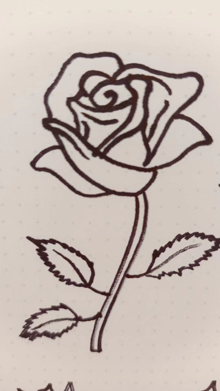 用水笔画的,一笔成型,也不错