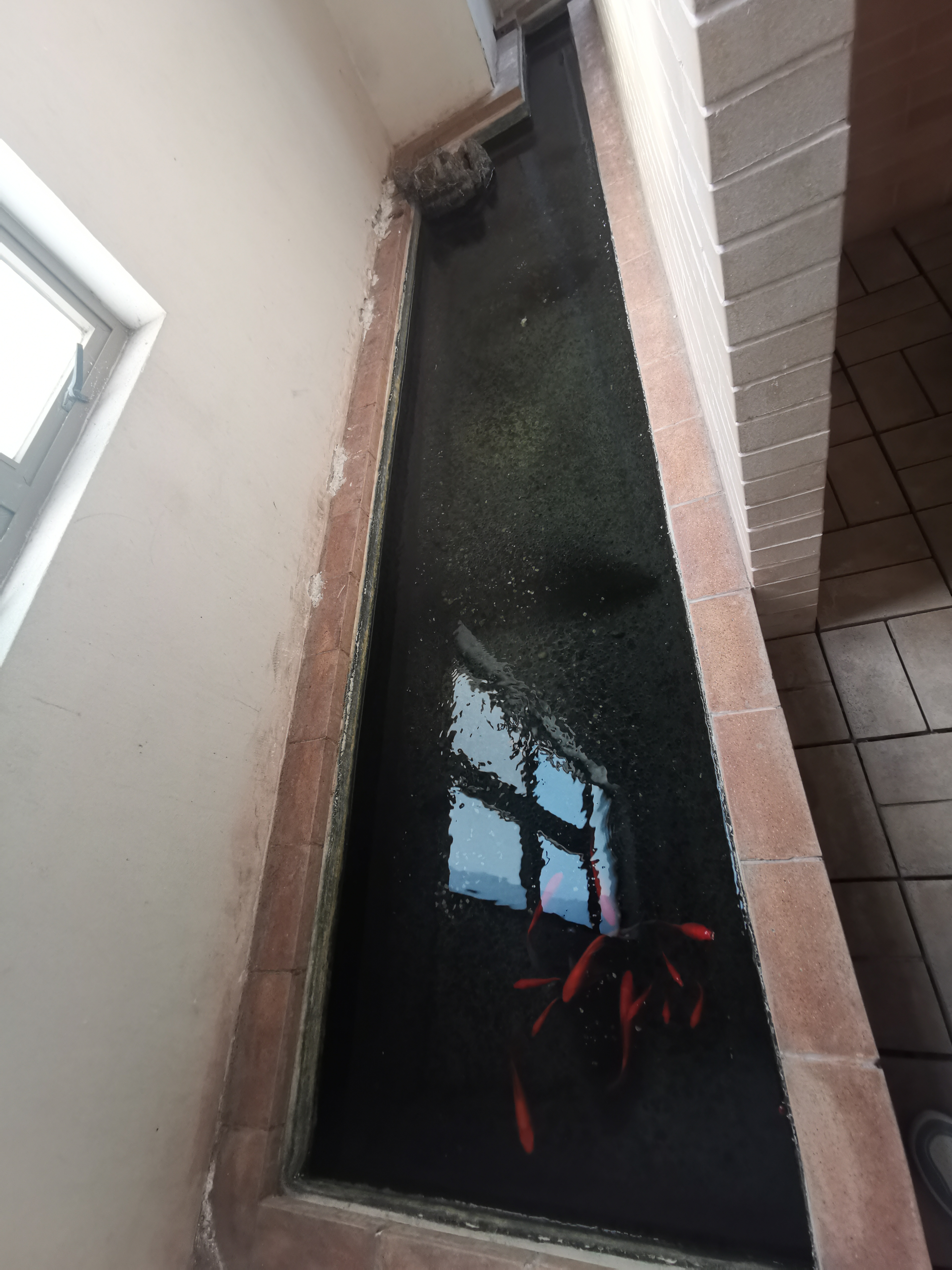 我们可能把这辈子的甜品都吃完了